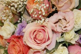 Pale, Pinks & Peach with hint of Lilac
