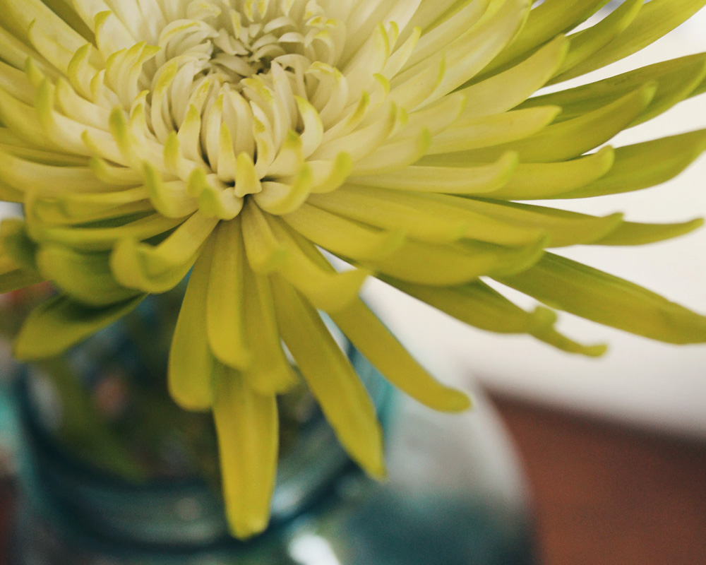 Florist Surrey order flowers online from Buds & Blooms Esher